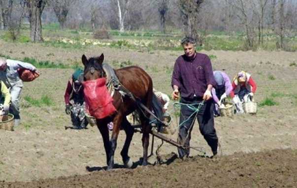 AKP Yatlara 80 Kuruş'a Çiftçiye 4,20 TL’ye Mazot Satıyor