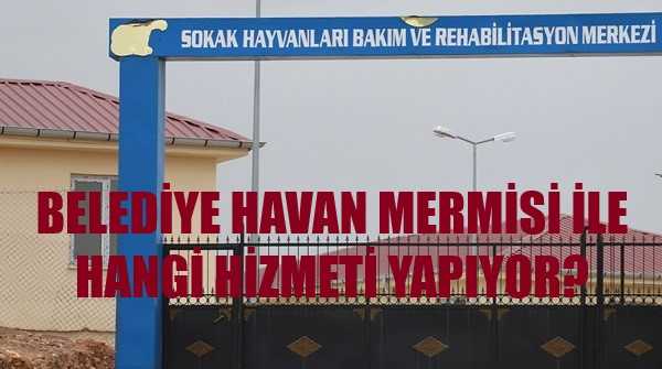 Belediye Hayvan Barınağında Havan Mermisi Bulundu